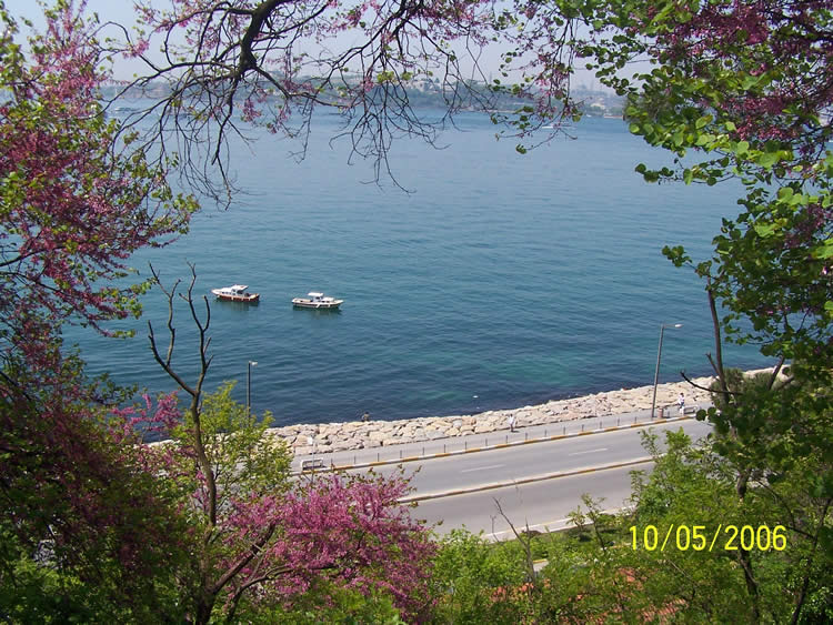Salacakta bir gün [Cawa]