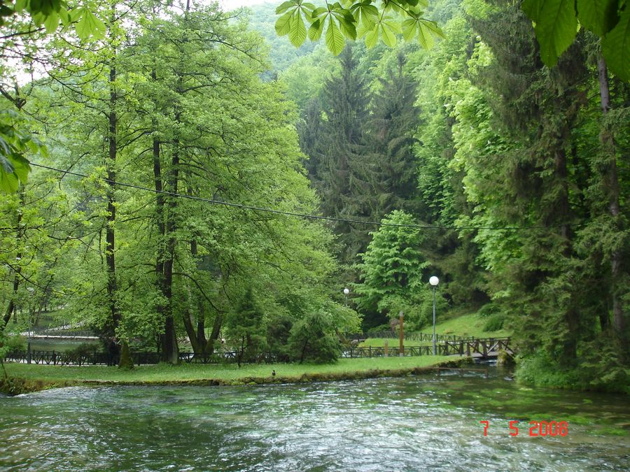 Virale Bosna parký [Kemal Gönen]