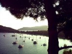 Aktur, Datça [Vildan Sonmez]