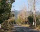 Güre de sonbahar [Halil Þenol]