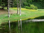 Yemyeþil [Vildan Sönmez]