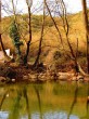 Sonbahar [Vildan Sönmez]