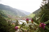 Uzungöl [Süleyman Borlak]