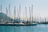Turgutreis D Marin [Çaðrý Dalgýç]