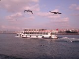 Gokyuzundeki Özgurluk [Efsun]