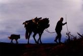 Bir Baþka Dönüþ [Mehmet Dað]