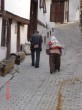 Yaþamýn Yorgunluðu [Aykut Özdemir]