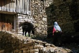 Emek 2 [Hüsnü Gengönül]