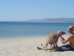 Köpek ve yaþlý adamýn dostluðu [Çaðýn Ergin]