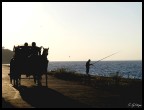 Burgazada gün batýmý [Sevilay Kýzýltepe]