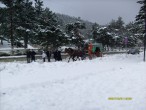 Beyaz inci Abant ta Fayton Sefasý [Göknur Sürek]
