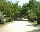 Erdek sahil [Göknur Sürek]