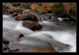 Þerefiye Deresi / Akyazý / Sakarya [Ýsmail Çallý]