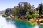 Adana dan bir kare [Tayfun Tarým]