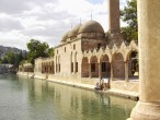 Þanlýurfa balýklýgöl [Salih Kolkýran]