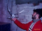 Kus ucusu [Murat Gençer]