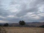 Fýrtýna Öncesi Sessizlik [Nilgül]