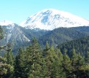 Ilgaz Daðý [Nevin Balcý]