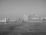 Kuþbakýþý Haydarpaþa [Nurettin Öztürk]